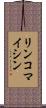 リンコマイシン Scroll
