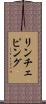 リンチェピング Scroll