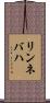 リンネバハ Scroll