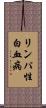 リンパ性白血病 Scroll