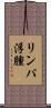 リンパ浮腫 Scroll