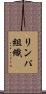 リンパ組織 Scroll