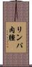 リンパ肉腫 Scroll