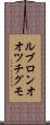 ルブロンオオツチグモ Scroll