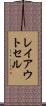 レイアウトセル Scroll