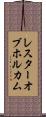 レスターオブホルカム Scroll