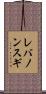 レバノンスギ Scroll