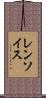 レンソイス Scroll