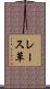 レース草 Scroll