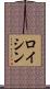 ロイシン Scroll