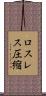 ロスレス圧縮 Scroll
