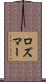 ロズマー Scroll