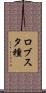 ロブスタ種 Scroll