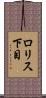 ロリス下目 Scroll