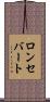 ロンセバート Scroll