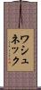ワシュネック Scroll