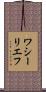 ワシーリエフ Scroll