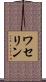 ワセリン Scroll