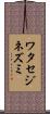 ワタセジネズミ Scroll