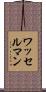 ワッセルマン Scroll