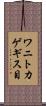 ワニトカゲギス目 Scroll