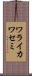 ワライカワセミ Scroll