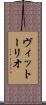 ヴィットーリオ Scroll