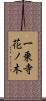 一乗寺花ノ木 Scroll