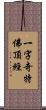 一字奇特佛頂經 Scroll