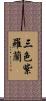 三色紫羅蘭 Scroll
