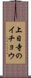 上日寺のイチョウ Scroll
