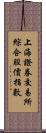 上海證券交易所綜合股價指數 Scroll
