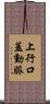 上行口蓋動脈 Scroll