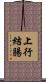 上行結腸 Scroll