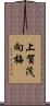 上賀茂向梅 Scroll
