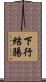下行結腸 Scroll