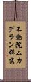 不動院ムカデラン群落 Scroll