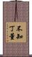不知丁董 Scroll