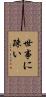 世事に疎い Scroll
