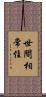 世間相常住 Scroll