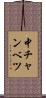 中チャンベツ Scroll