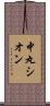 中丸シオン Scroll
