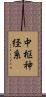 中枢神経系 Scroll