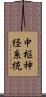 中枢神経系統 Scroll