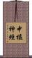 中樞神經 Scroll