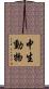 中生動物 Scroll