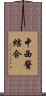 中西醫結合 Scroll