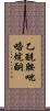 乙酰胺吡咯烷酮 Scroll