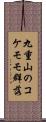 九重山のコケモモ群落 Scroll