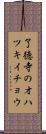 了徳寺のオハツキイチョウ Scroll